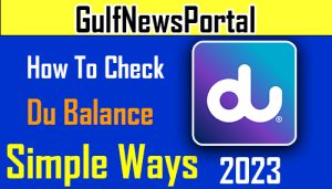 How to check du balance